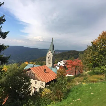 公寓 Bayerischer Wald Auf 800m Hoehe Willkommen *