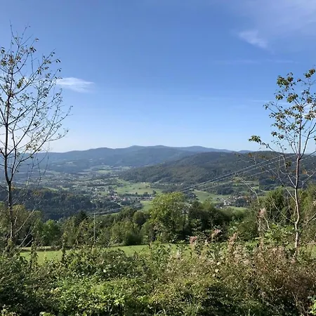 Bayerischer Wald Auf 800m Hoehe Willkommen * Schofweg