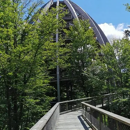 Bayerischer Wald Auf 800m Hoehe Willkommen * Schofweg